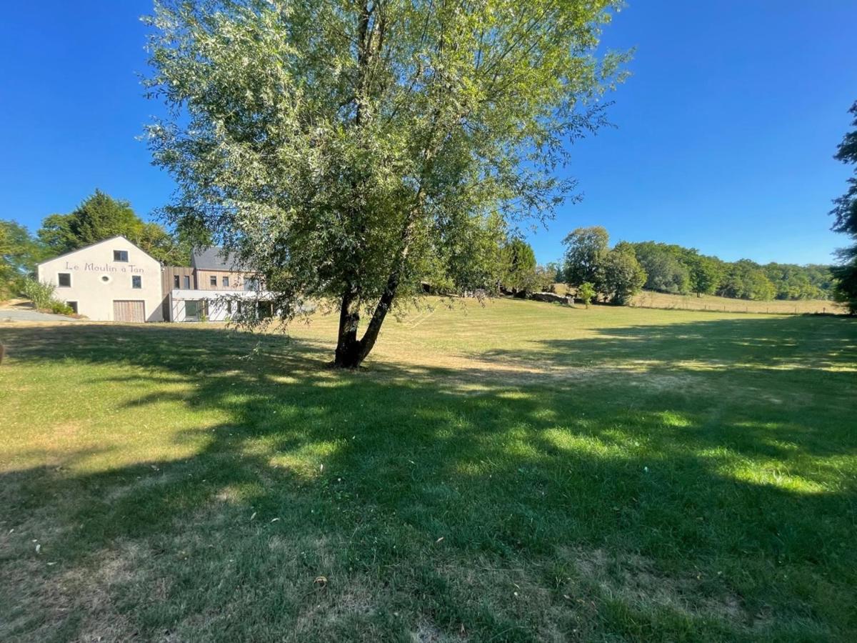 Gites Du Moulin A Tan A Sache 37 ภายนอก รูปภาพ